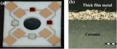 202508051520008630.png 202508051520008630.png