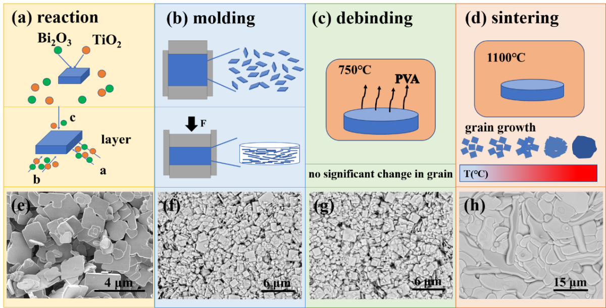 202509041645521410.png 202509041645521410.png