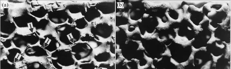 202509151605229887.jpg 202509151605229887.jpg